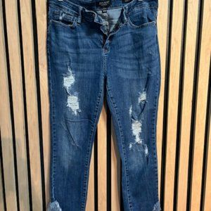 Judy Blue Size 15/32 Distressed Skinny Jeans